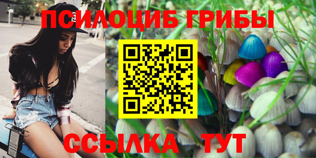 Псилоцибиновые грибы Psilocybe  Псилоцибиновые грибы ЛСД  Ейск  Вход с VPN 