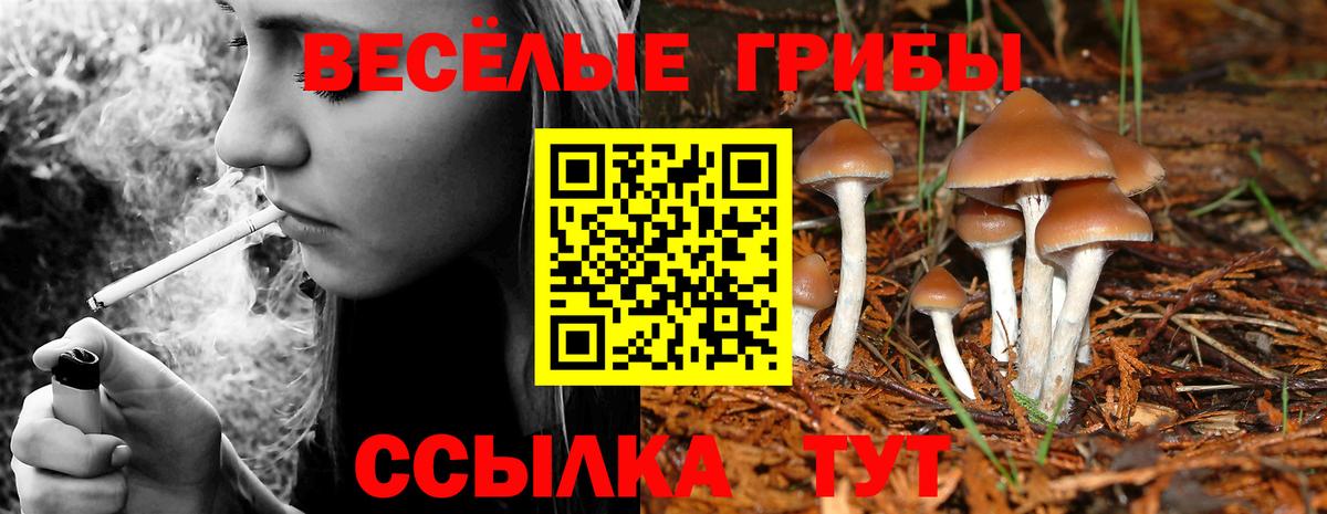 Псилоцибиновые грибы MAGIC MUSHROOMS Ейск